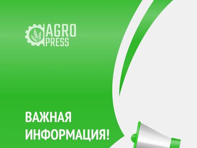 Объявление