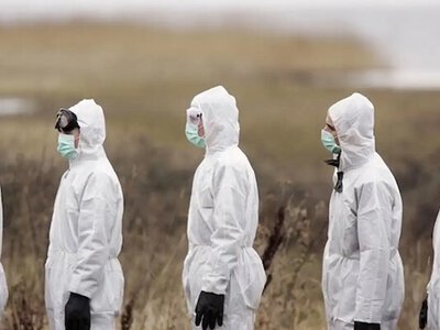 Вспышка опасной болезни в Румынии: Измаильский район вводит экстренные меры