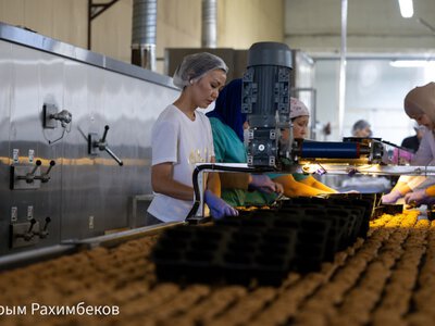  Как продукт из Караганды проходит путь до магазинной полки 