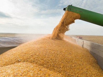 Украине могут ограничить доступ сельхозпродукции на рынок ЕС даже после вступления, — Euronews