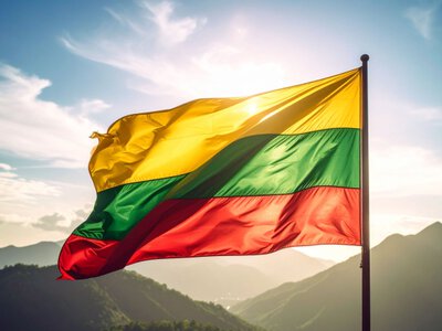 Литва ограничила предоставление временной защиты для мужчин