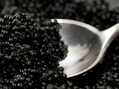  В Карагандинской области производят черную икру 18 оттенков 