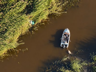  51 сеть и более 600 рыб: что нашли во время рейда на Зайсане 