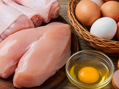 Украина исчерпала квоты ЕС на яйца и мясо птицы