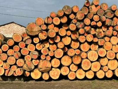  В Львовской области продают государственный деревообрабатывающий комплекс за 338 тыс. грн 