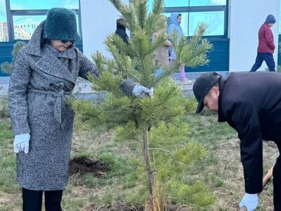  В Астане высадили деревья в честь дня донорства 