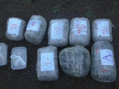  Более 28,6 кг наркотиков и свыше двух тысяч психотропных таблеток изъяли в Азербайджане 