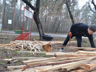 В аннексированном Крыму вдвое выросли цены на дрова