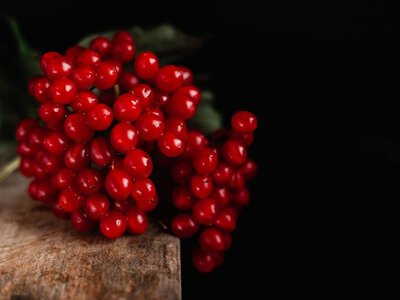 Калина на зиму: 5 простых способов заготовки, которые помогут сохранить вкус и полезные свойства ягод
