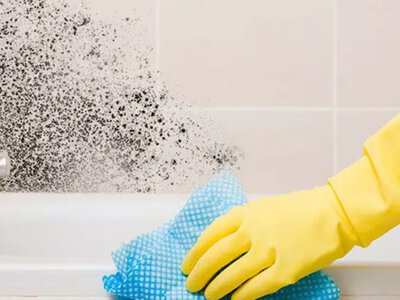Как вернуть в помещение свежесть: Профессиональное удаление плесени с Eco Ozon