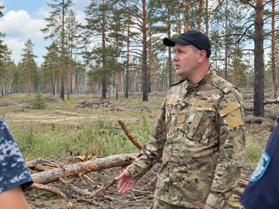  В «Семей орманы» выявили больше 30 нарушений, среди них незаконная вырубка 