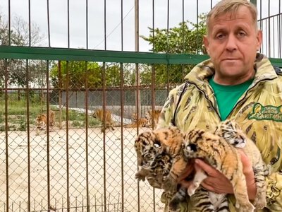 Российские чиновники в Крыму уклонились от ответа о законности вывоза животных из «Аскании-Новы» в «Тайган»