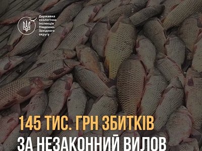 На Николаевщине женщину обязали выплатить 145 тысяч гривен за незаконный вылов рыбы и крабов
