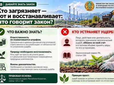 Кто загрязняет — тот и восстанавливает: что говорит закон?