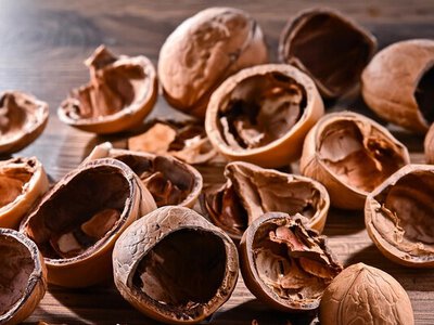 Не выбрасывайте скорлупу грецких орехов: 6 полезных способов ее применения
