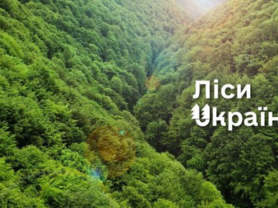  НАБУ и САП разоблачили схему завладения почти 27 млн грн 