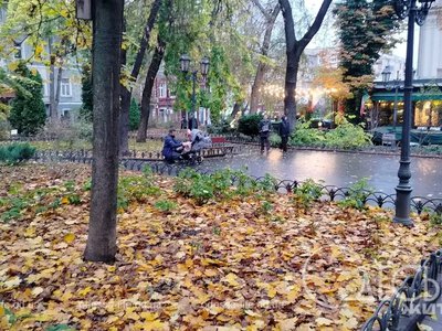 Осень покажет свой характер: какая погода будет в Одессе 14 октября