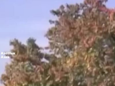 Воевавшего в Украине подозревают в двойном убийстве в Таджикистане