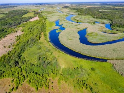 Волынская Амазония: чем уникален парк Припять-Стоход и почему его стоит посетить