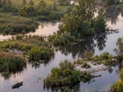 В Украине есть своя Амазония: где находится уникальный край рек, болот и затерянных островов