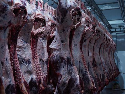 В Казахстане произведено 846,5 тыс. тонн мяса