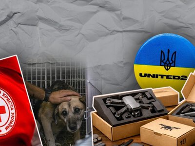  Результаты соцопроса на тему «Симпатии к благотворительным фондам, полугодовая динамика» 