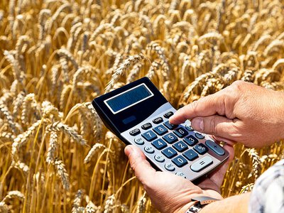Как не продавать за бесценок? Что мешает мелким украинским фермерам зарабатывать больше.