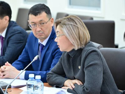  В Казахстане хотят изменить правила получения «золотой визы» 