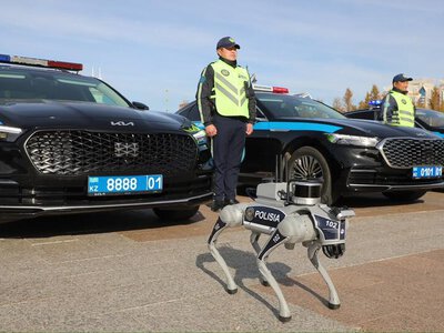 В Астане роботы-собаки начали контролировать безопасность в общественных местах