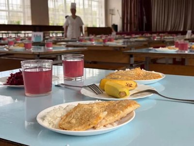 Проблемы с бесплатным питанием в школах: что выявили проверки Минобразования