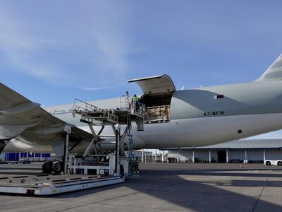 СКО укрепляет потенциал мясного животноводства