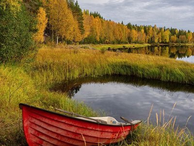 Погода в Украине на неделю: 19 – 25 октября 2026