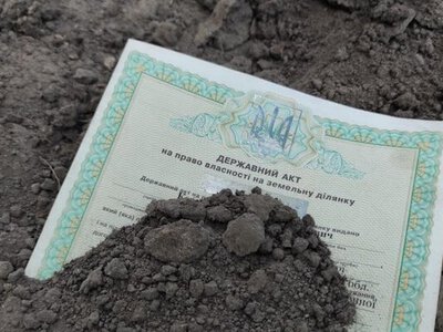 Нет кадастрового номера или потерялся государственный акт: можно ли унаследовать землю