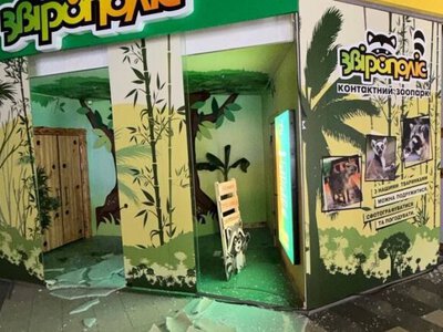 В Киеве в результате российского нападения повреждены контактный зоопарк и ледовый дворец