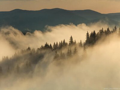 Где в Украине пройдут дожди, а где будут господствовать туманы — синоптики дали прогноз на 20 октября