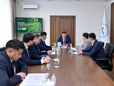 Представлен проект восстановления лесов в области Абай