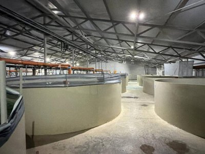  Завод по производству кормов для рыб построят в Акмолинской области 