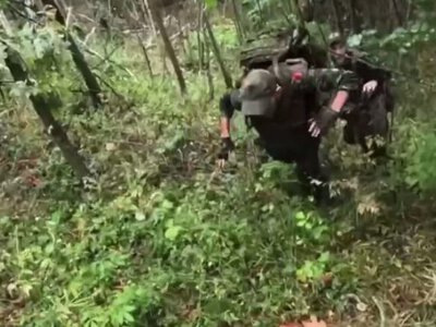 Спецназовцы ГУР за семь недель расчистили более 600 гектаров леса в Сумской области