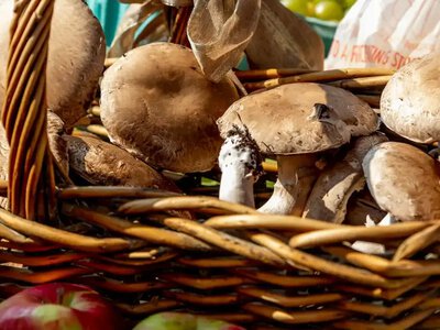 Радиация, ядовитые двойники и стихийные рынки: как безопасно покупать и употреблять грибы
