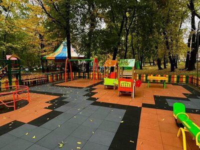 Карусель для детей на колесных креслах и тактильные панели: в Черновцах открыли инклюзивную игровую площадку