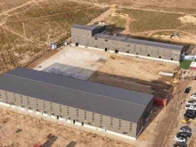  Кости скота превратят в ценное сырье в Казахстане 