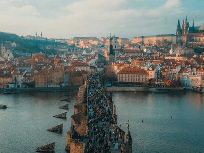 Урезание выплат вдвое и депортация: страна ЕС меняет правила для украинских беженцев (Видео)