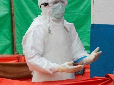  Во Франции впервые выявили вирус Шамонда у человека, пациент умер 