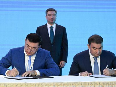 В Туркестанской области запустят мясной кластер за $111,1 млн