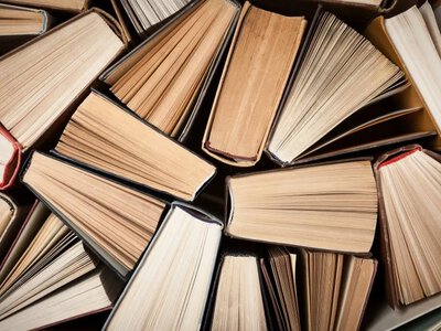 Украинцы определили знаковые издания Независимости — какая книга заняла первое место, а какая завоевала приз читательских симпатий