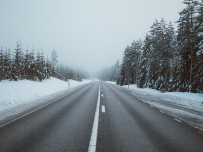  Дорога на Риддер снова открыта, но не всем 