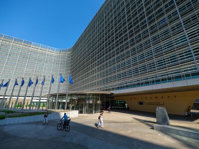 Єврокомісія розглядає відновлення імпорту птиці та меду з Бразилії: що стоїть за торговельним рішенням