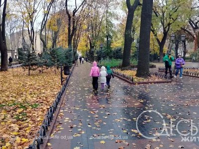 Тепло, но с дождем и туманом: погода в Одессе 24 октября