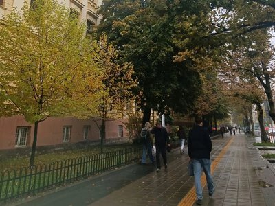 Погода на выходные, 24-25 октября: какой сюрприз готовит погода