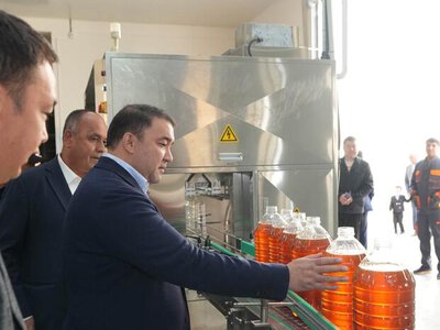 ТУРКЕСТАН: В МАКТААРАЛЕ ЗАПУЩЕН ЗАВОД ПО ПЕРЕРАБОТКЕ ХЛОПКОВОГО МАСЛА